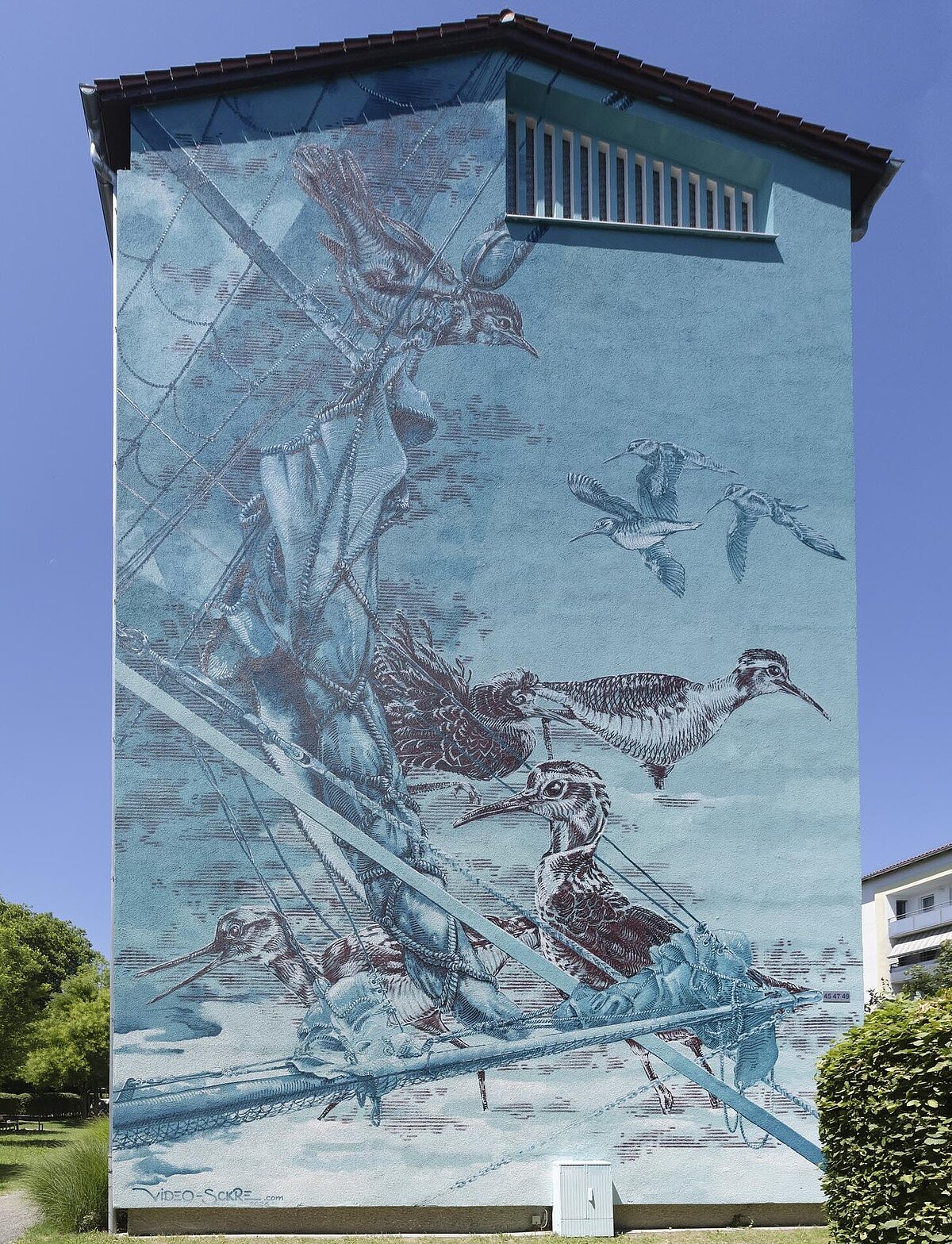 Vögel auf blauem Untergrund