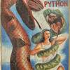 Leonardo Arts, "Boa vs. Python" (Regie David Flores, USA 2004), Handgemaltes Filmplakat aus Ghana, 2004, Sammlung Stäbler, Foto©Stäbler