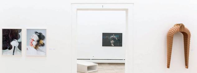 Jahresausstellung 2019: Blick in Saal 1 und 9, Bettina Gorn, Fotografien, 2018 (li.), Astrid Pohl, ohne Titel 3, 2015 (M.u.), Asja Schubert, Catch, 2018 (M.o), Thomas Breitenfeld, Tusks05, 2019 (re.), Foto © Martin Weiand
